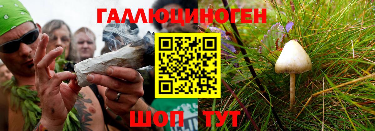 Псилоцибиновые грибы MAGIC MUSHROOMS Воткинск